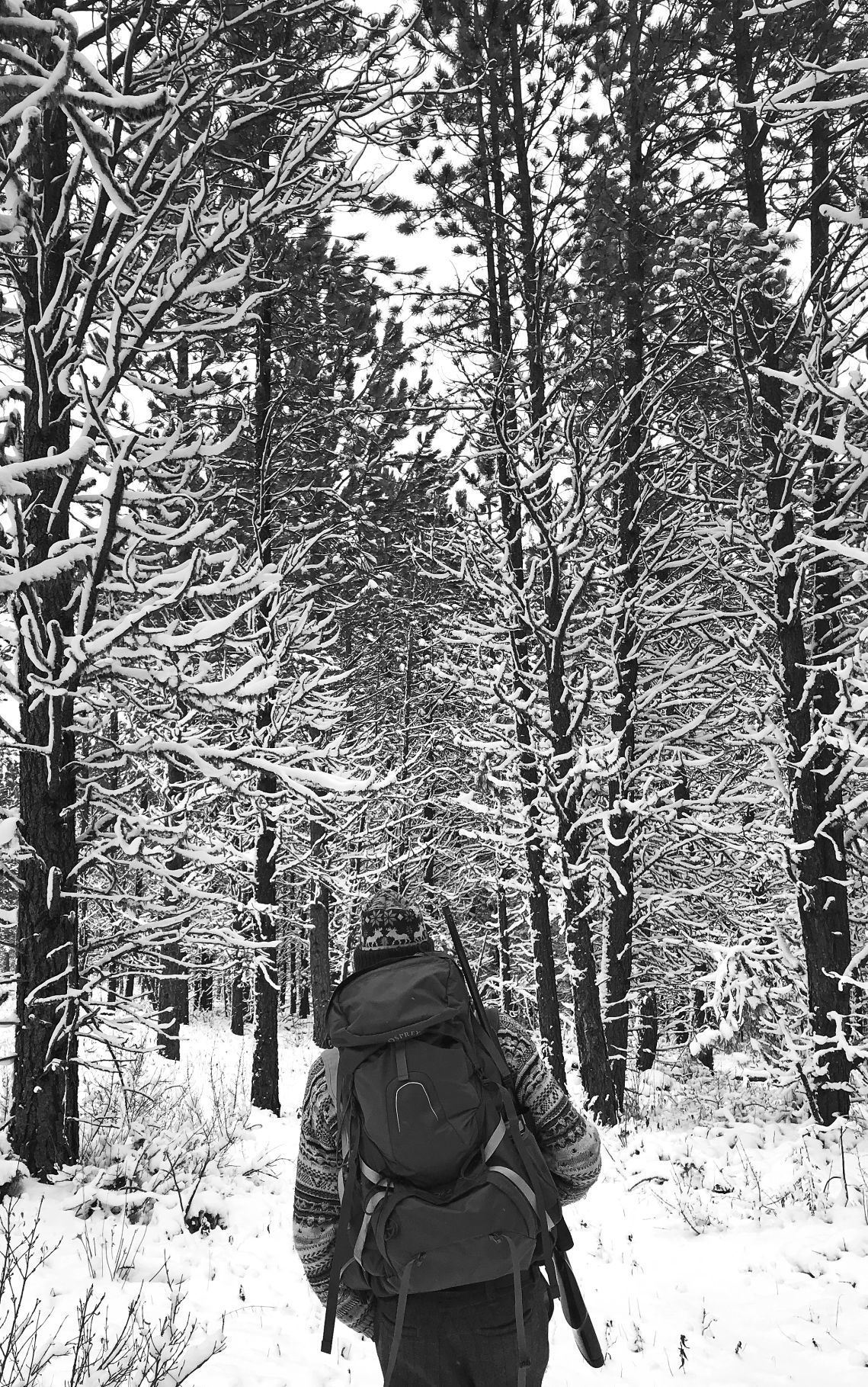 Elk hunters